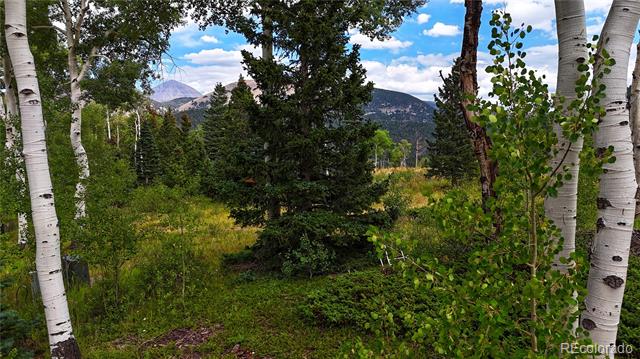 Baker Creek Court