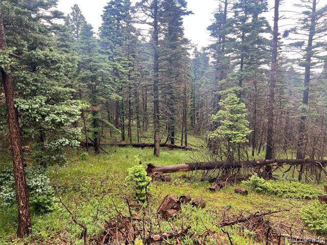 County Rd 406