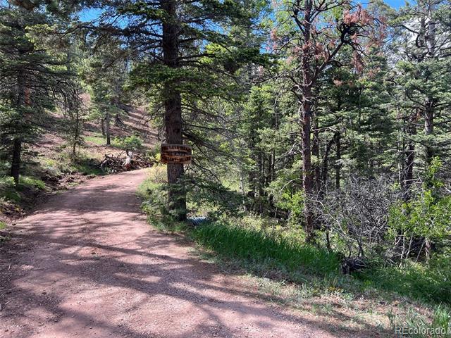 County Rd 406