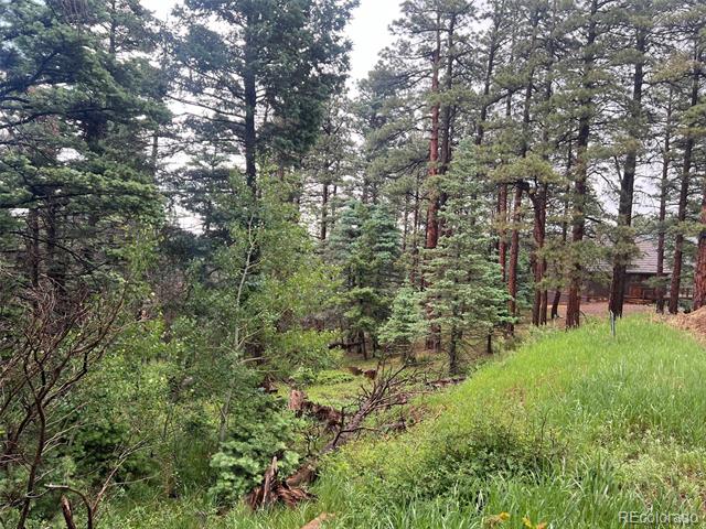 County Rd 406
