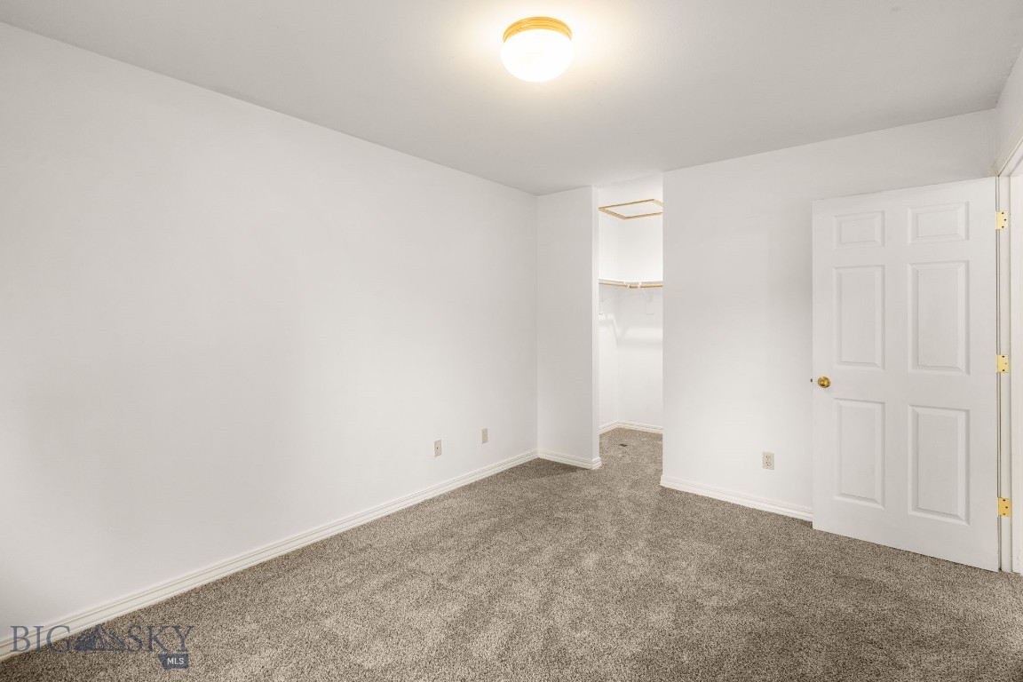 153 Spruce Cone