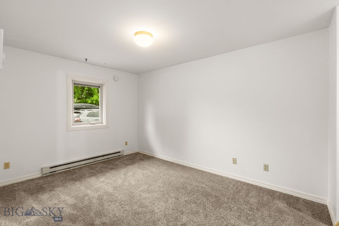 153 Spruce Cone