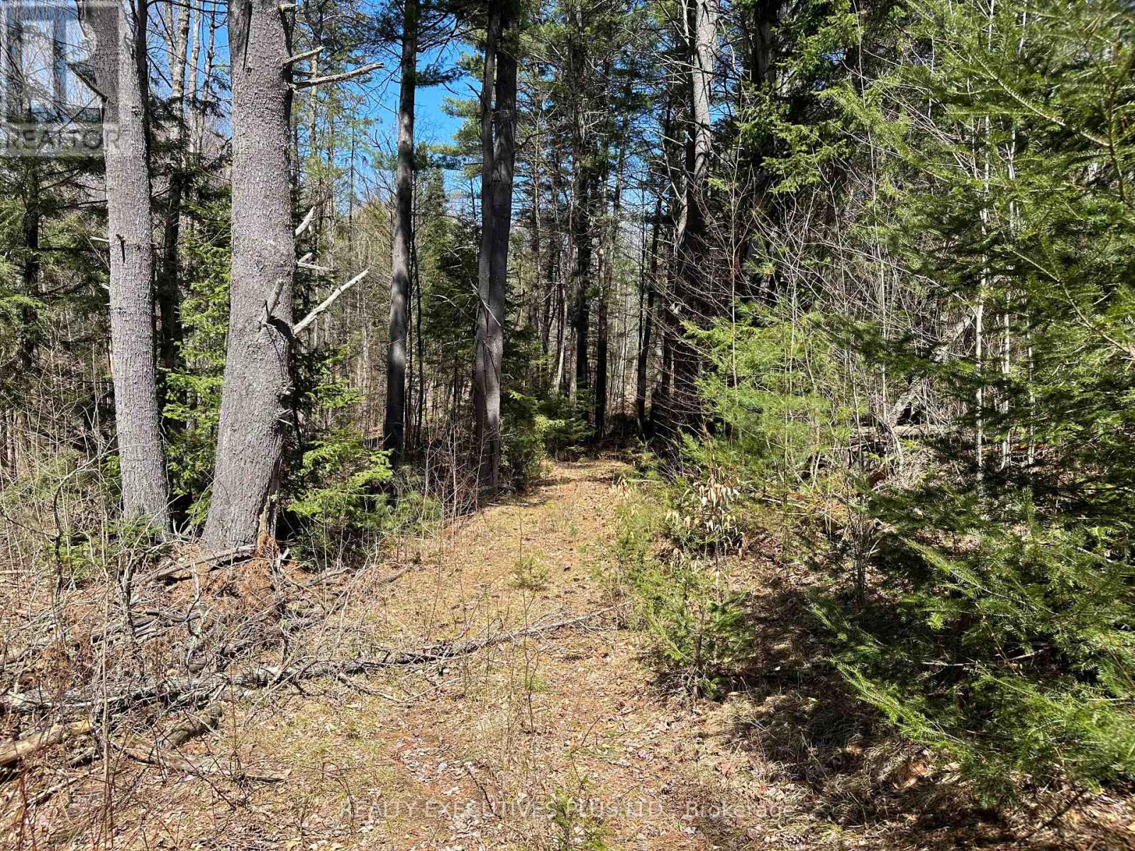 00 DALHOUSIE 4TH CONC B ROAD