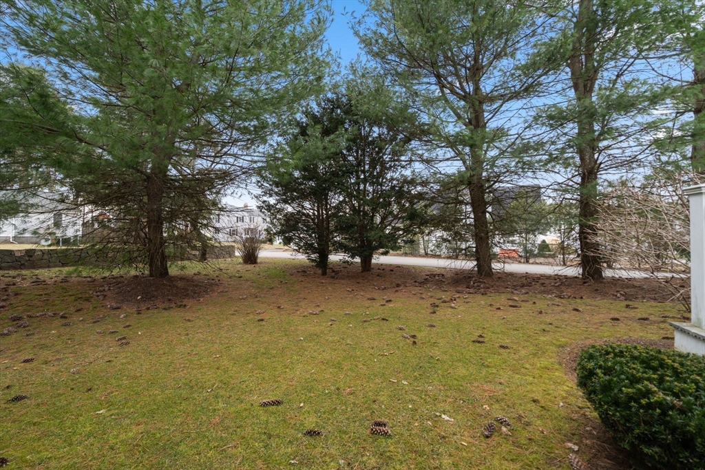 3 Turtlebrook Way