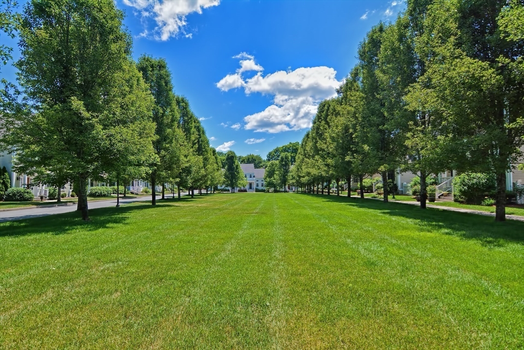 16 Maple Street # 16