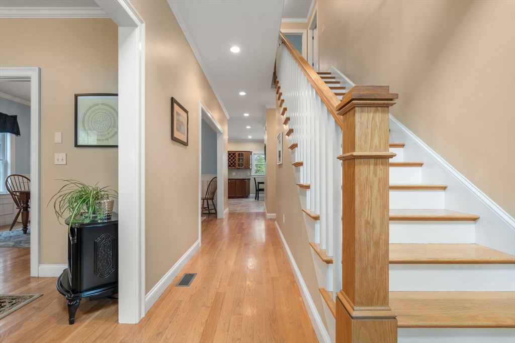 36 Bayley St