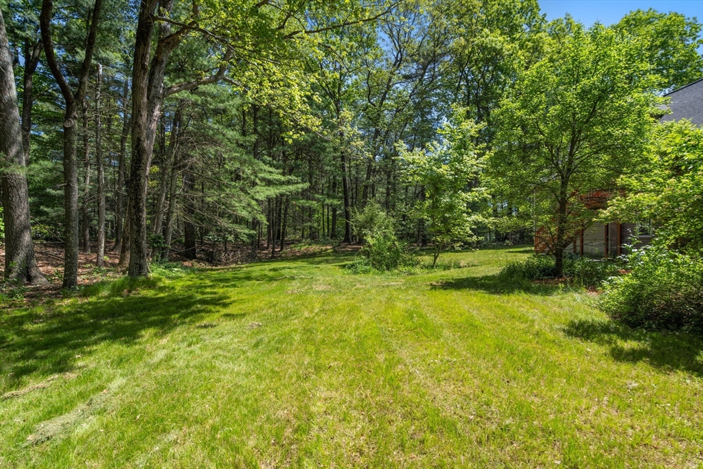 22 Longmeadow