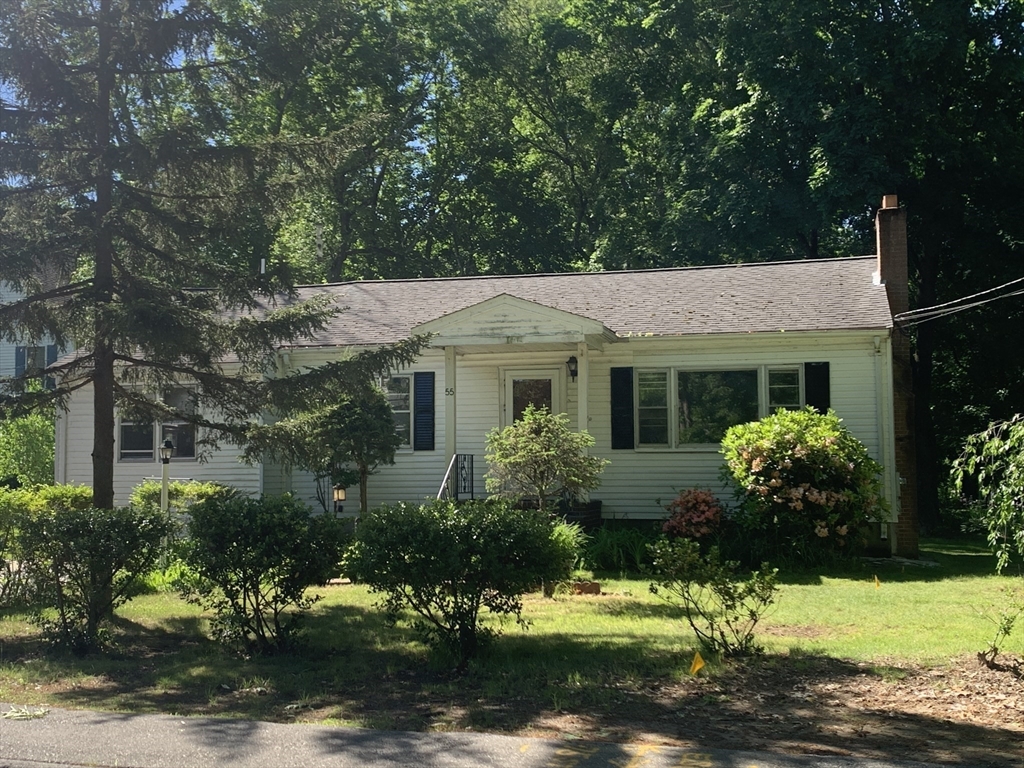 55 Chestnut St