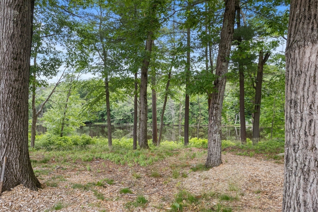 119 Horrigan Drive # 15