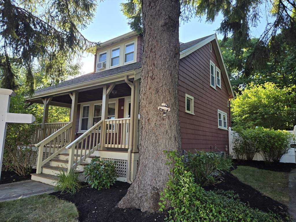 25 Avalon St