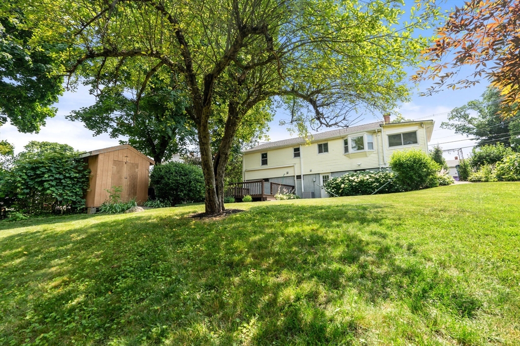 129 Norfolk
