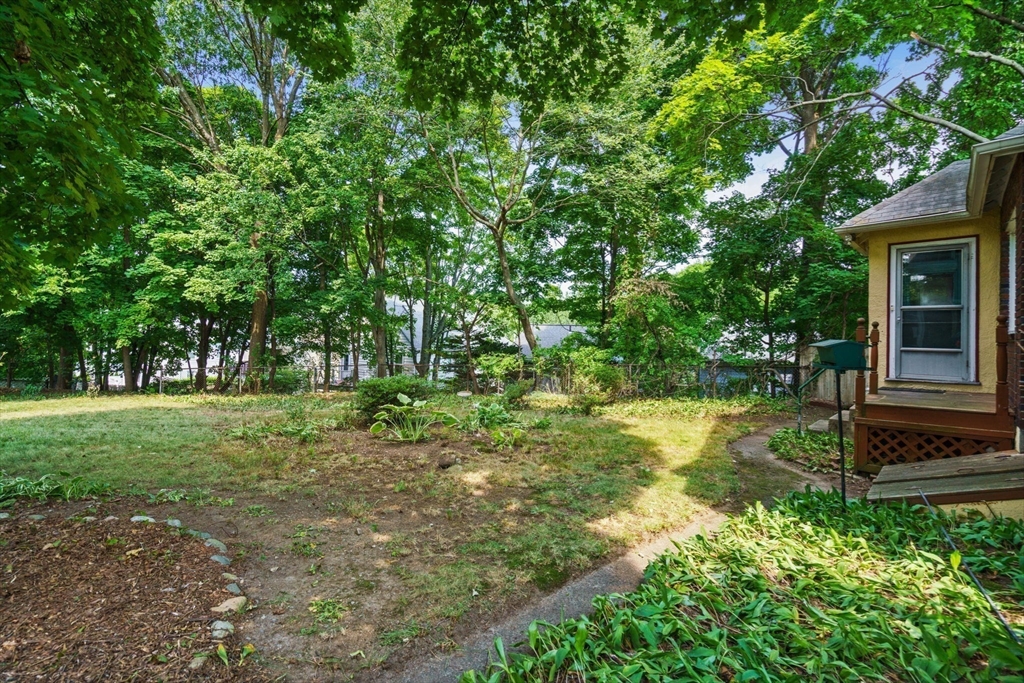 11 Harrington St
