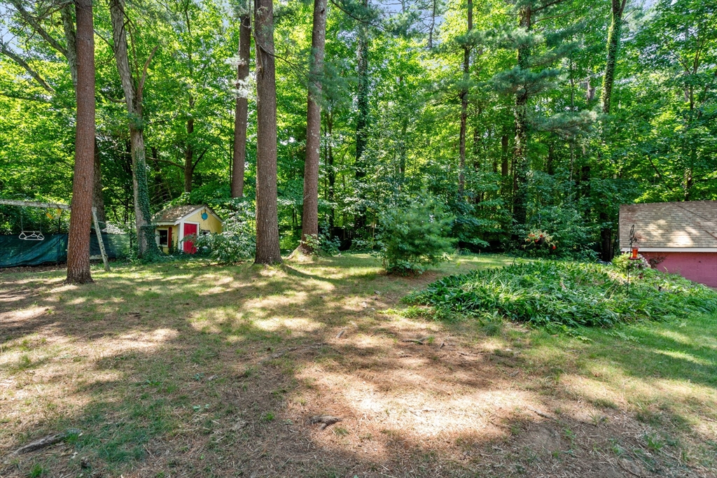 15 Forest