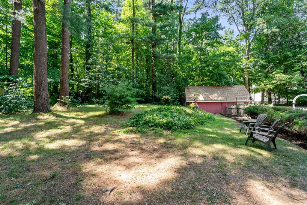 15 Forest