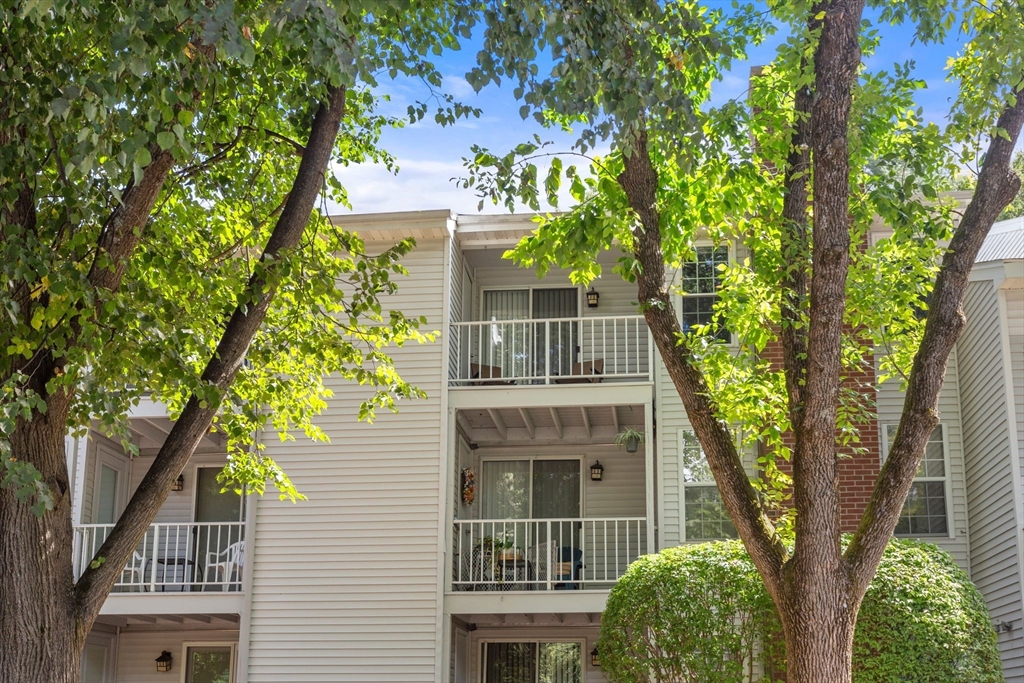32 Walden Drive # 19