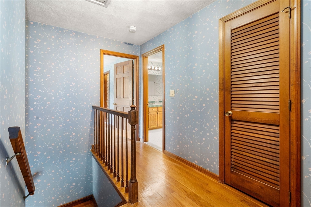 14 Oriole Road