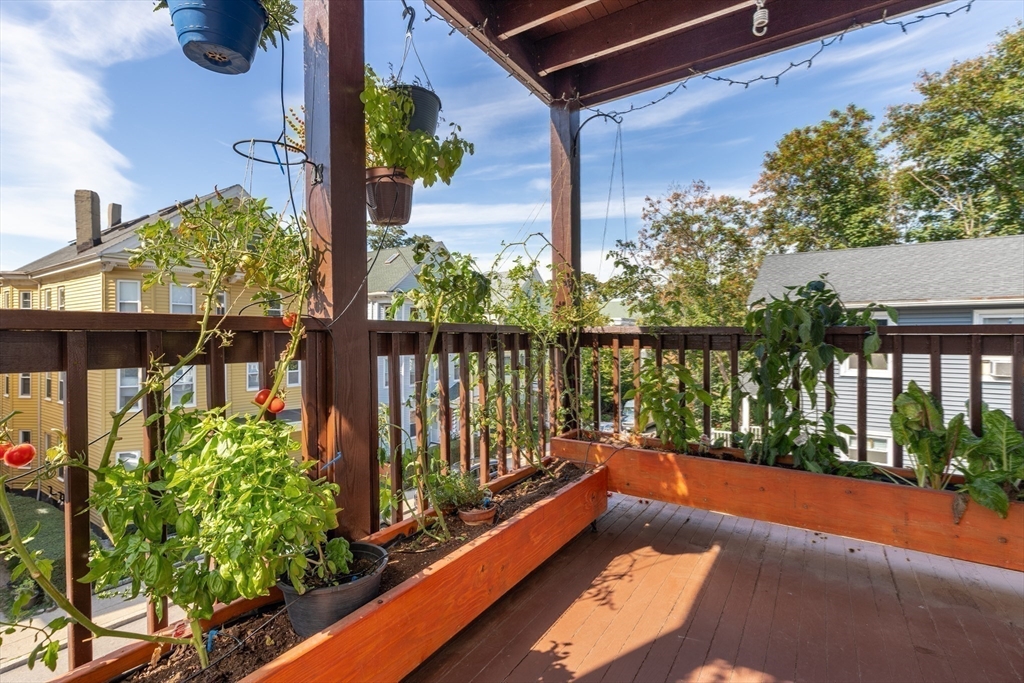 17 Dalrymple Street # 2