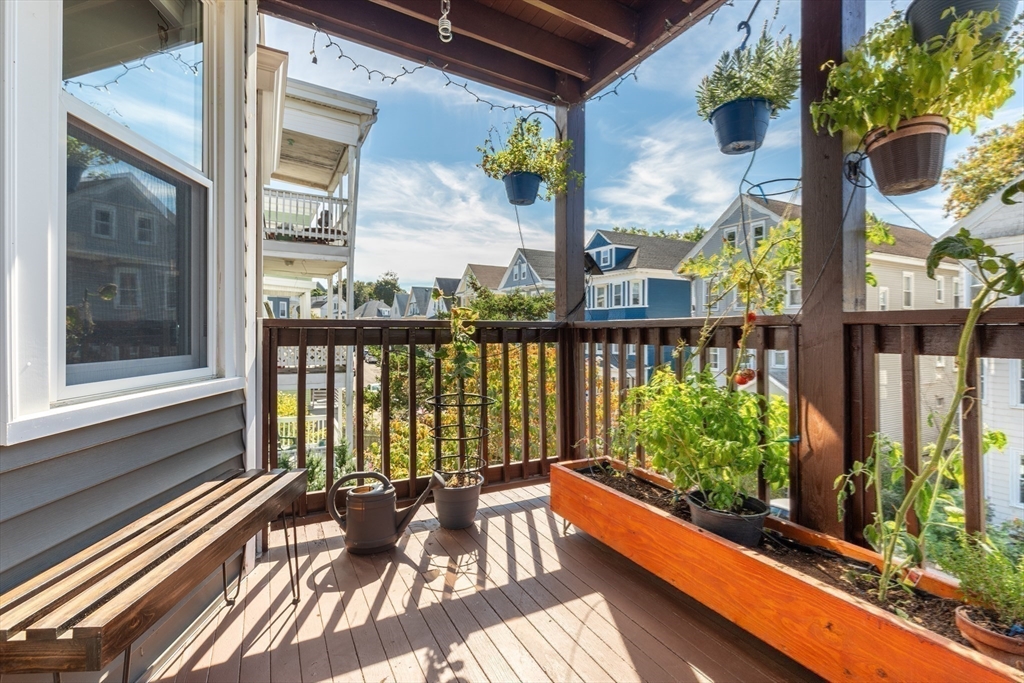17 Dalrymple Street # 2