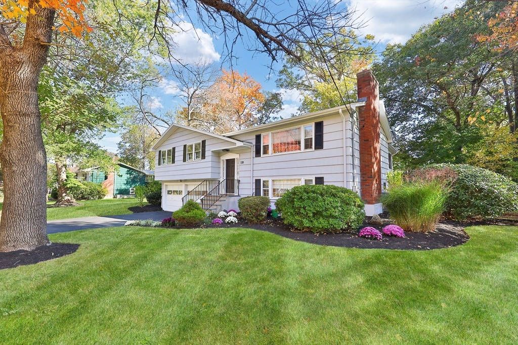 118 Albemarle Rd