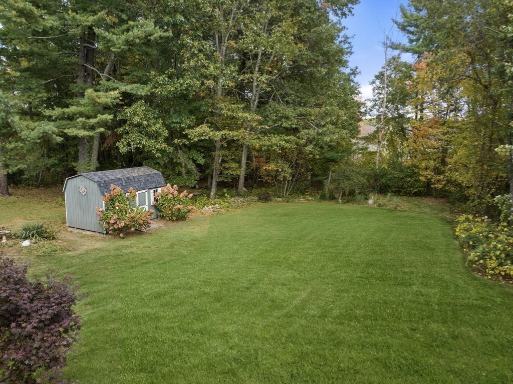 8 Timberline Road
