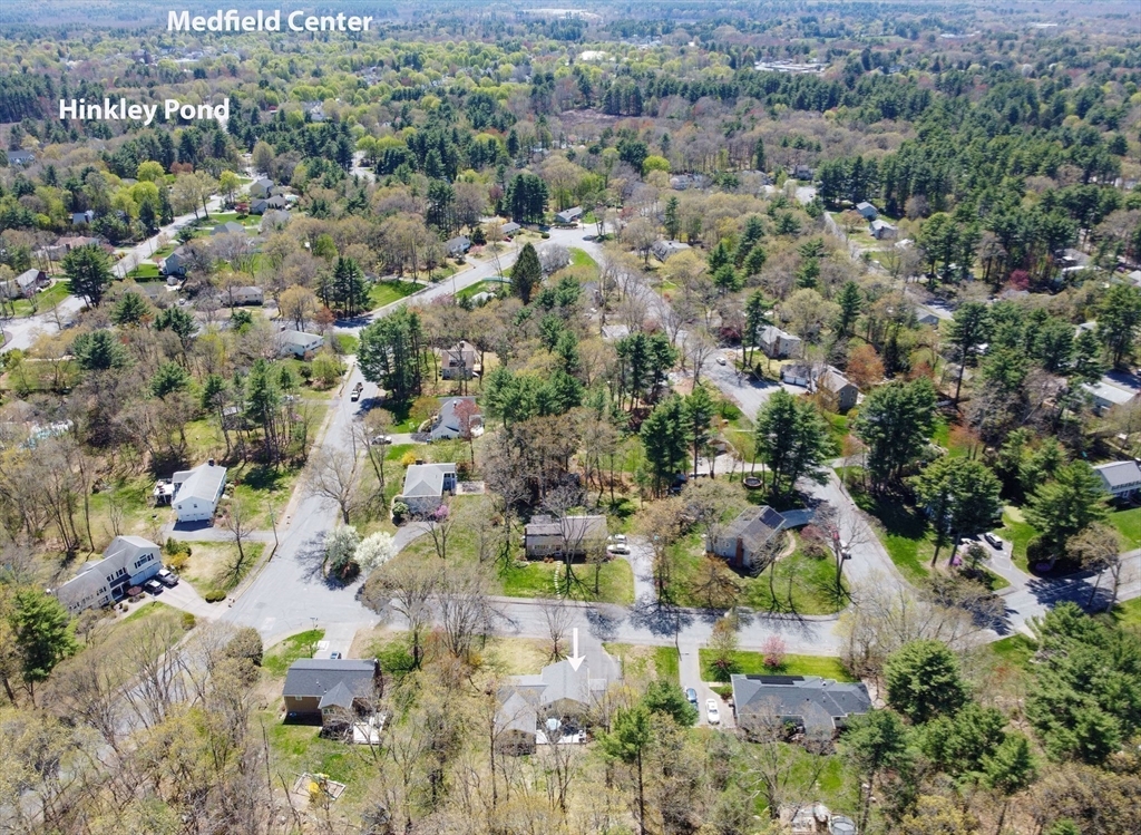 17 Tamarack Road