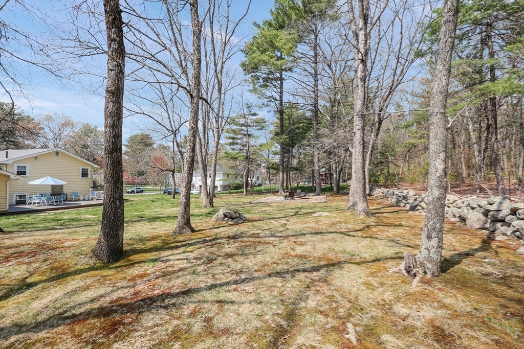 17 Tamarack Road