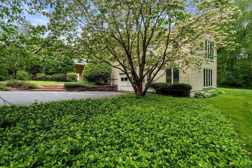 31 Millbrook Rd