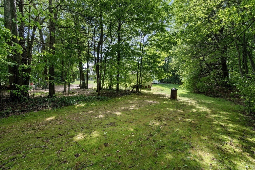 53 Timberline Road