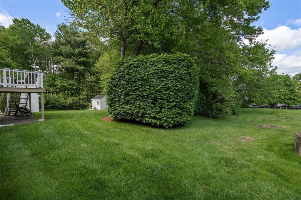 53 Timberline Road