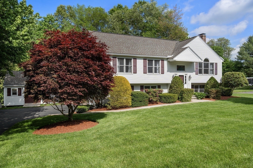 53 Timberline Road