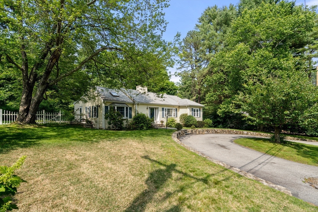 61 Conant Road
