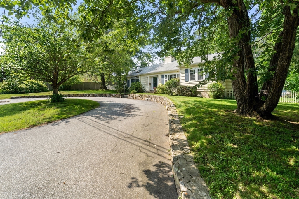 61 Conant Road