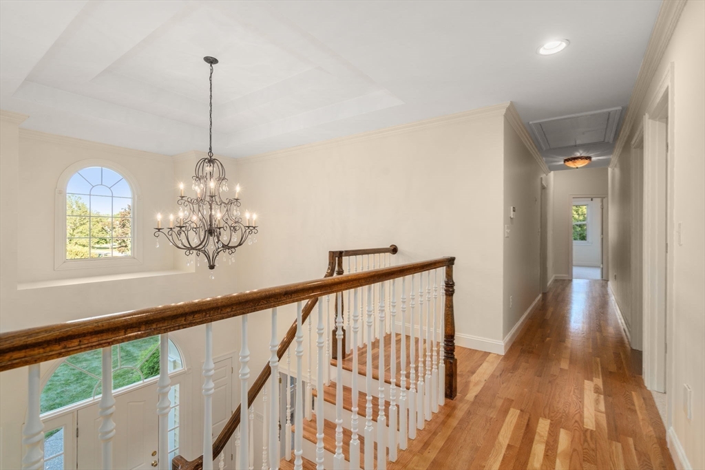 41 Oriole Road