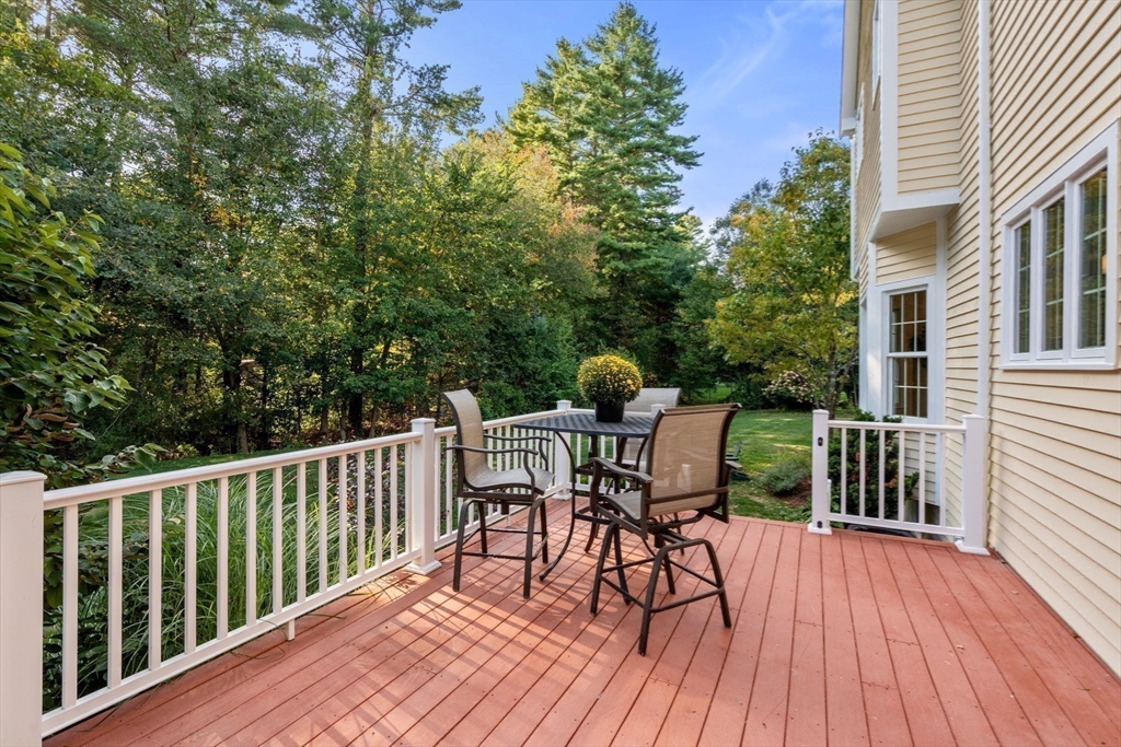 41 Oriole Road