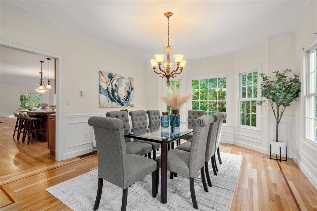 41 Oriole Road