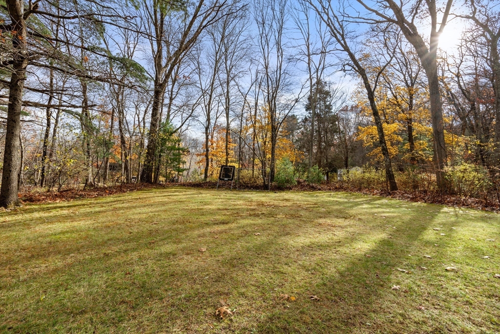 151 Arcadia Rd