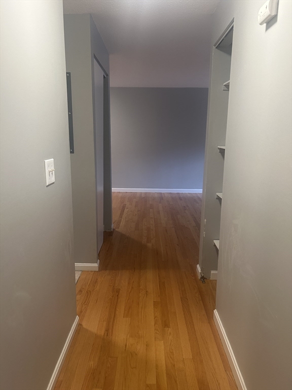 35 Longworth Ave # 17