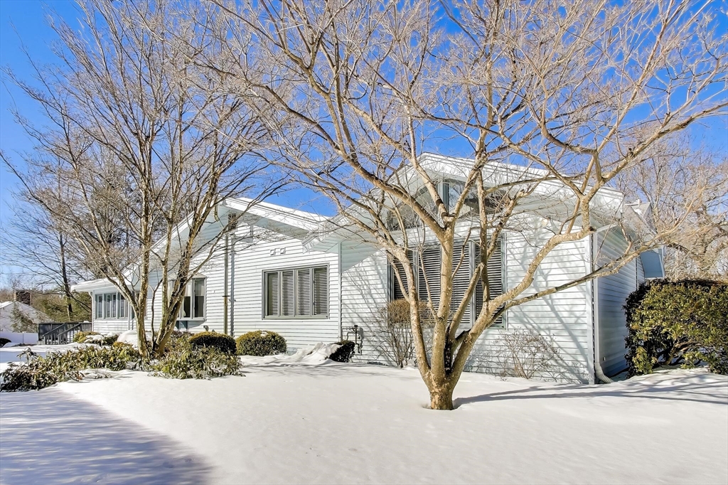 26 Albemarle Rd