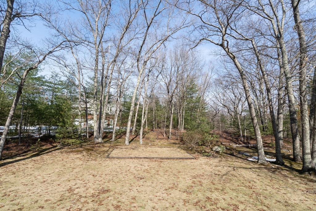 40 Locust Drive