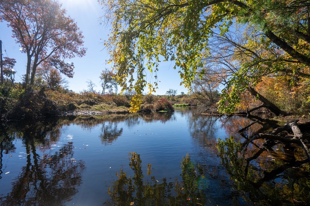 242 Main # 302