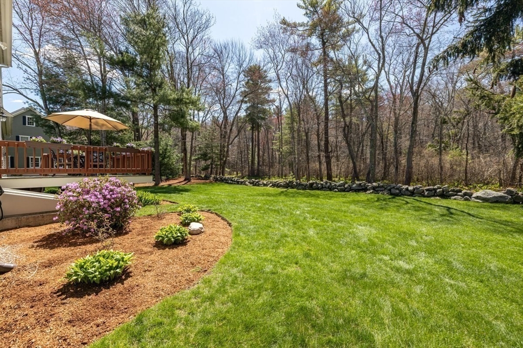 7 Tanglewood Road