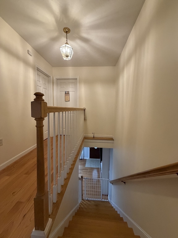 16 Parker St # 16