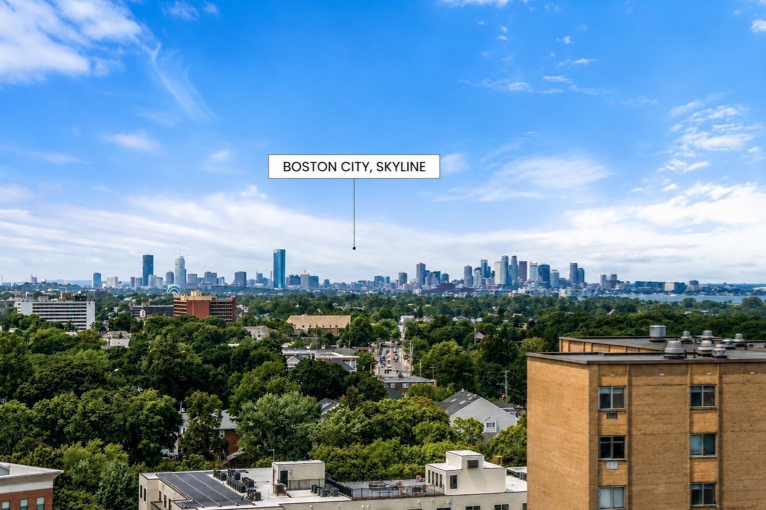77 Adams St # 1206