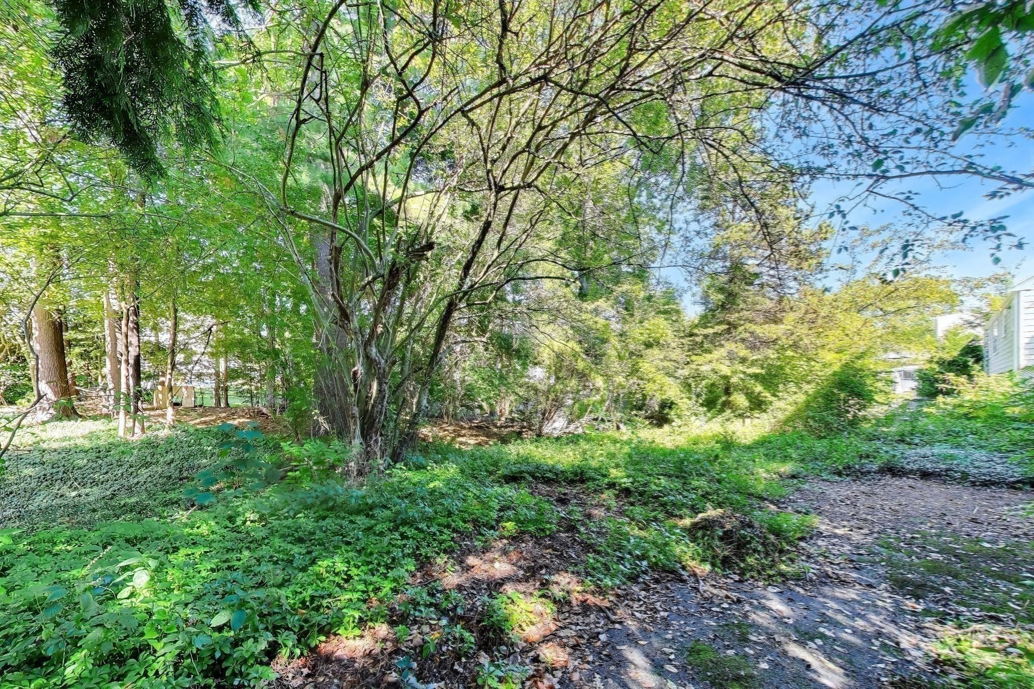 72 Sexton Ave