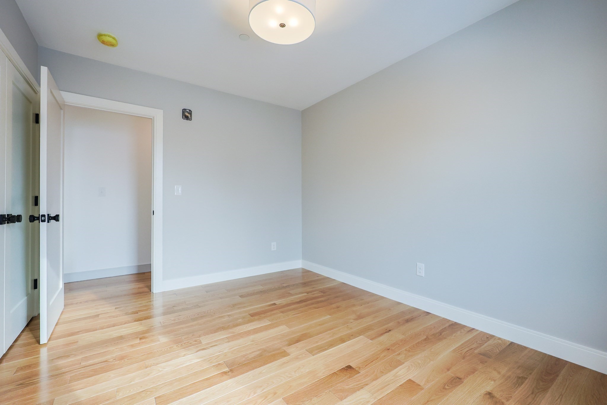68 Rowe Street Unit: Unit1