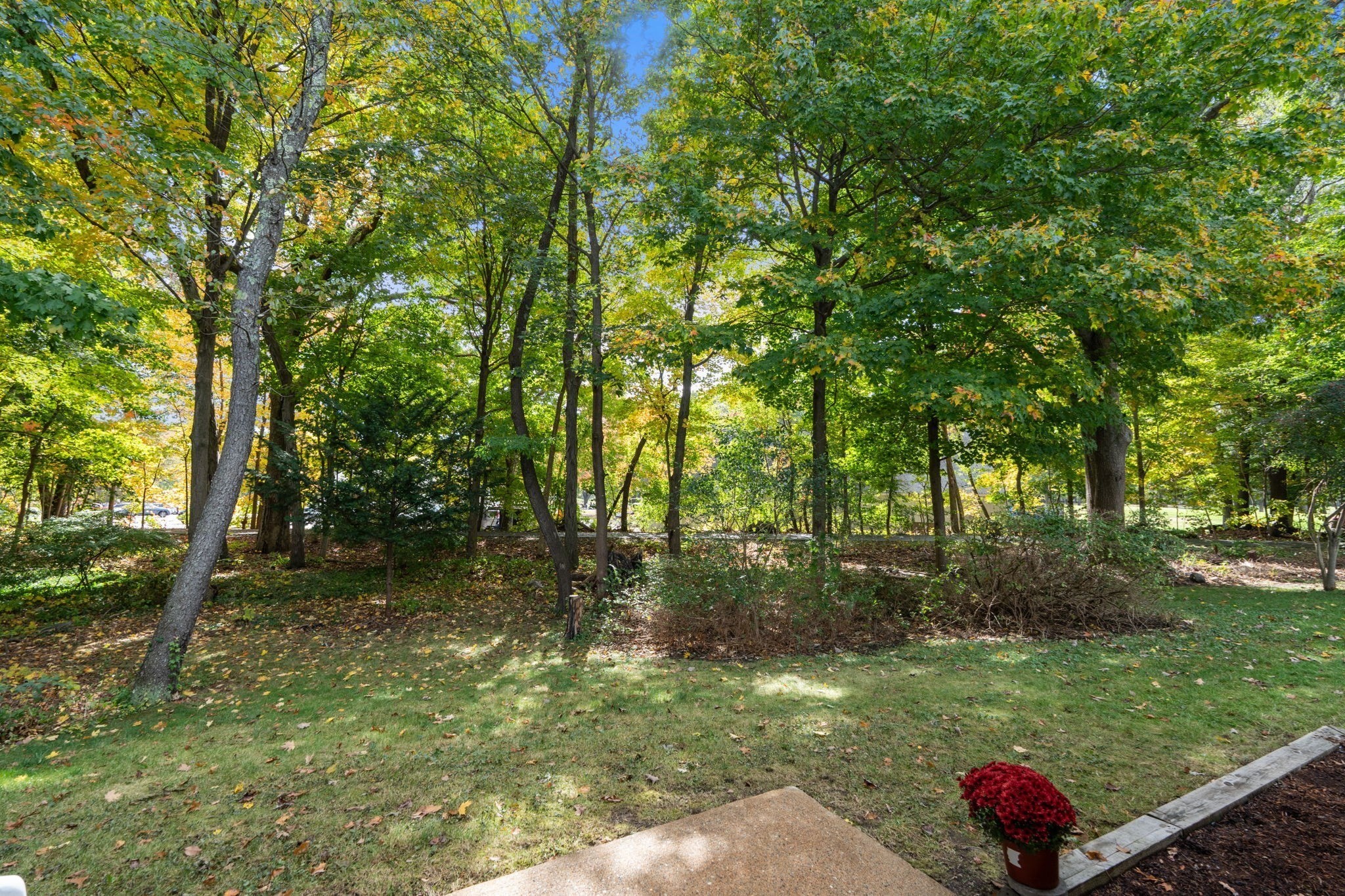 8 Lauren Drive # 8