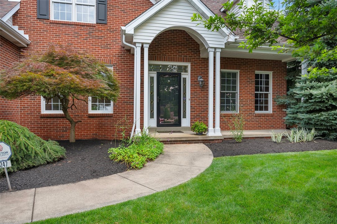 247 Erin Drive