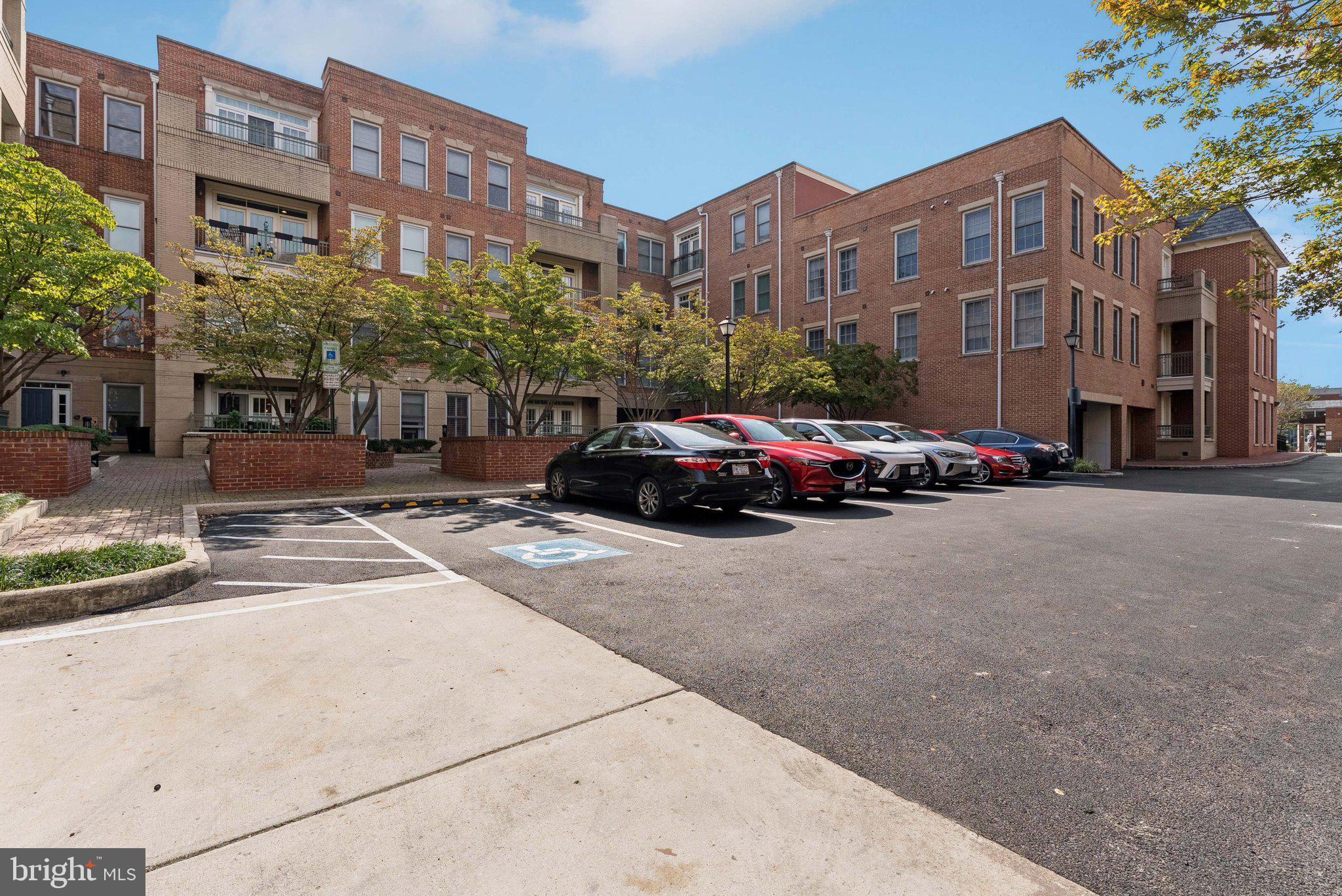 1115 CAMERON STREET 118