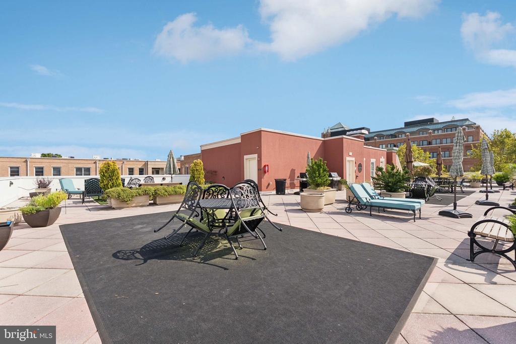 1115 CAMERON STREET 118