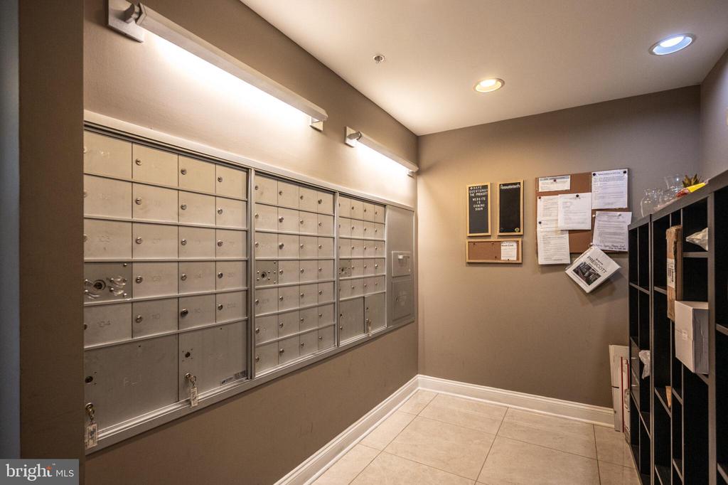1115 CAMERON STREET 119